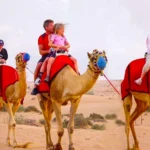 Gallery Thumbnail 1
