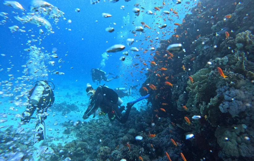 Professional Diving