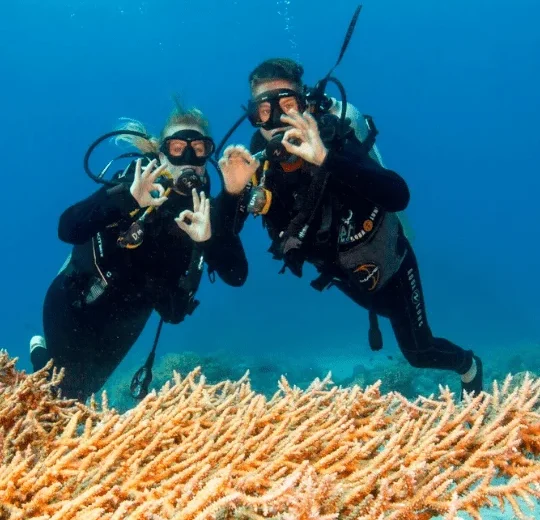 Private Boat-Diving and Island